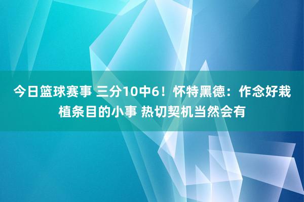 今日篮球赛事 三分10中6！怀特黑德：作念好栽植条目的小事 热切契机当然会有