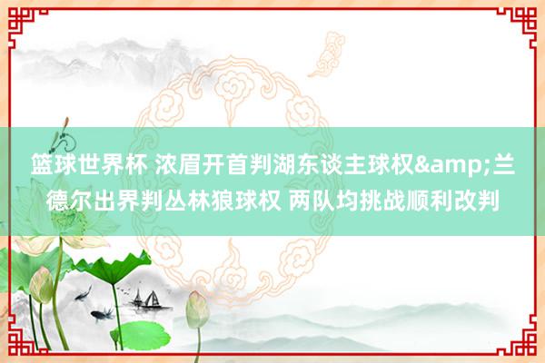 篮球世界杯 浓眉开首判湖东谈主球权&兰德尔出界判丛林狼球权 两队均挑战顺利改判